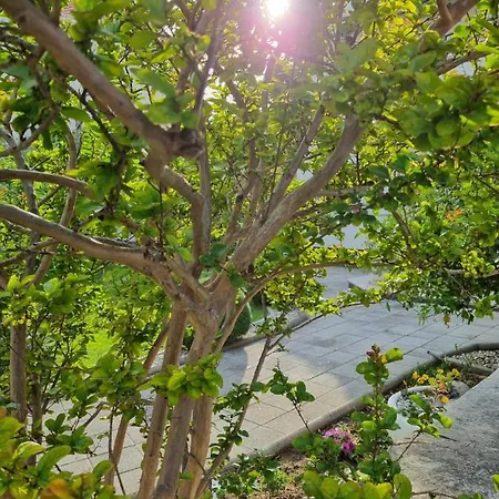 דירה Onlystudio With Free Parking