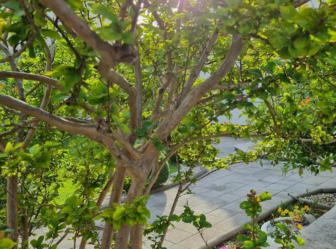 Apartman Onlystudio With Free Parking